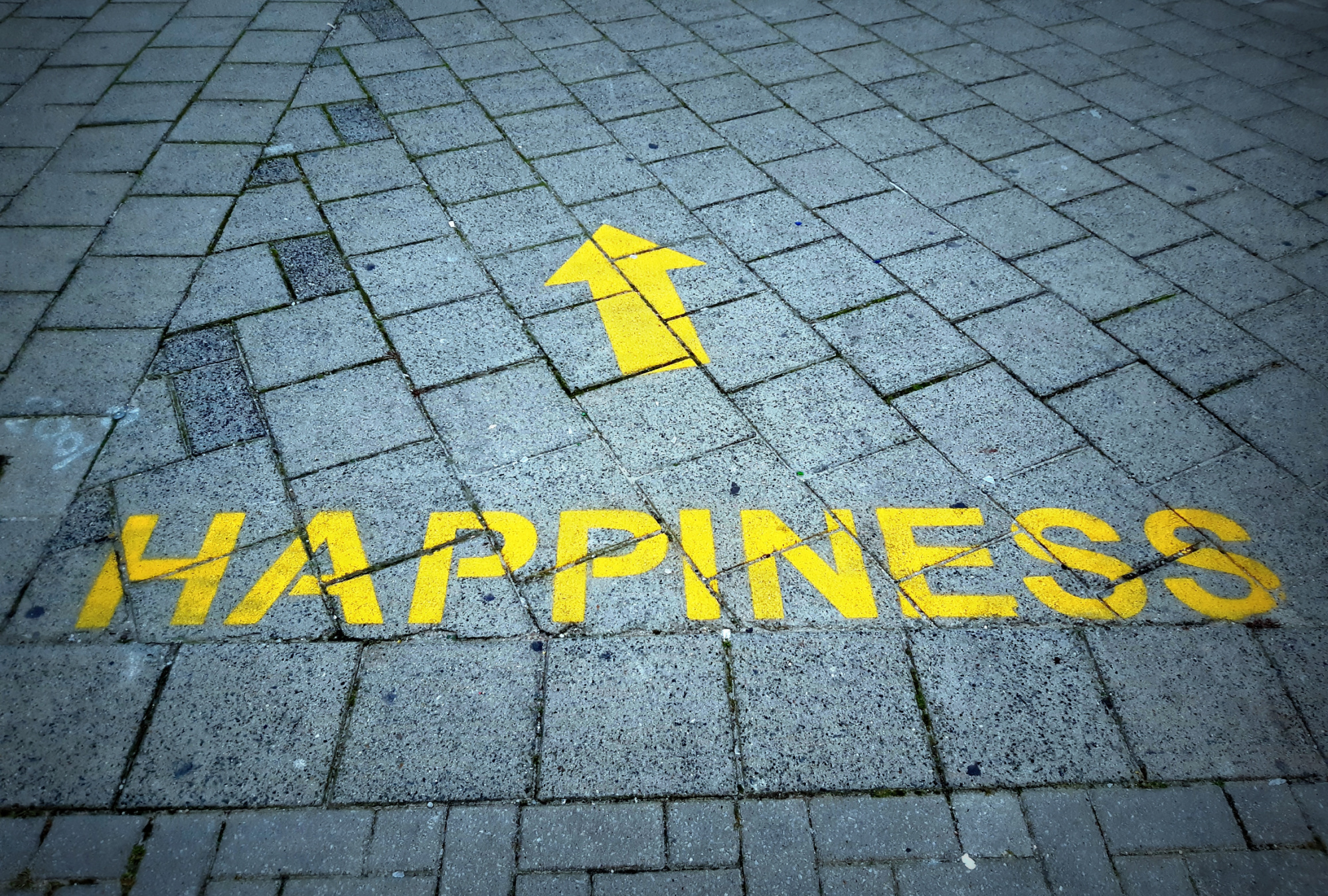 A yellow arrow painted on a paved walk pointing toward happiness.